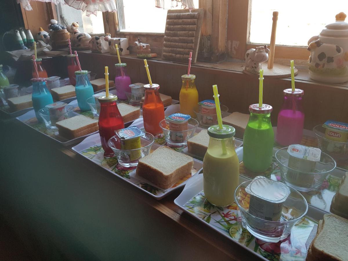 Hostal La Morenita Punta Arenas Eksteriør bilde