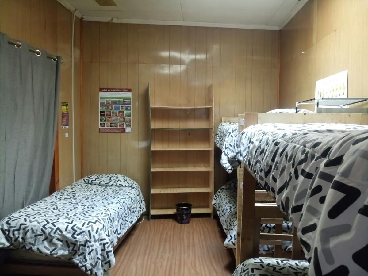 Hostal La Morenita Punta Arenas Eksteriør bilde